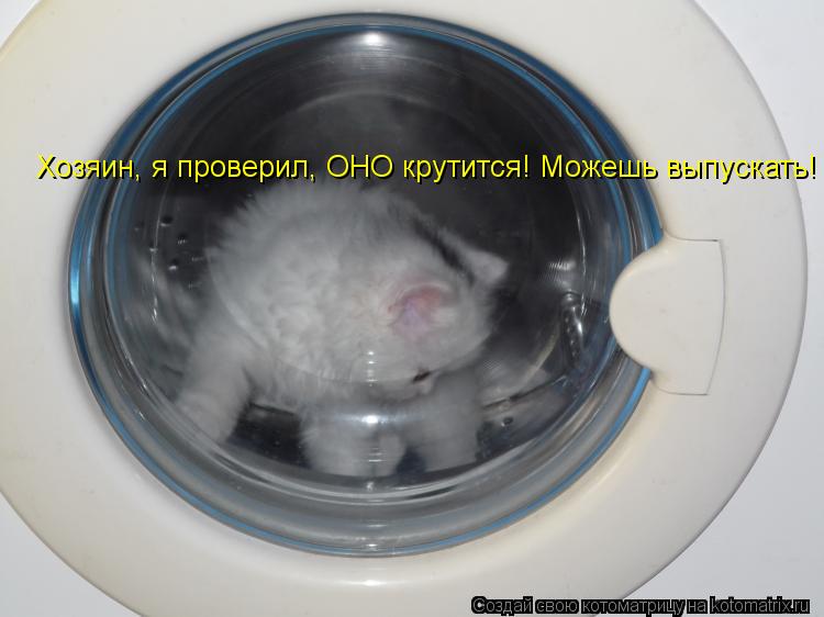 Котоматрица: Хозяин, я проверил, ОНО крутится! Можешь выпускать!