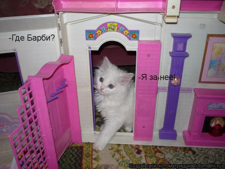 Котоматрица: -Я за неё! -Где Барби?