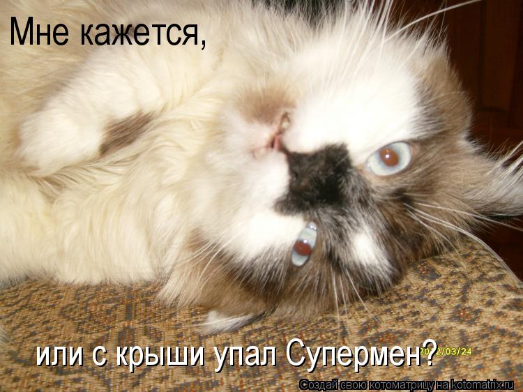 Котоматрица: Мне кажется, или с крыши упал Супермен?