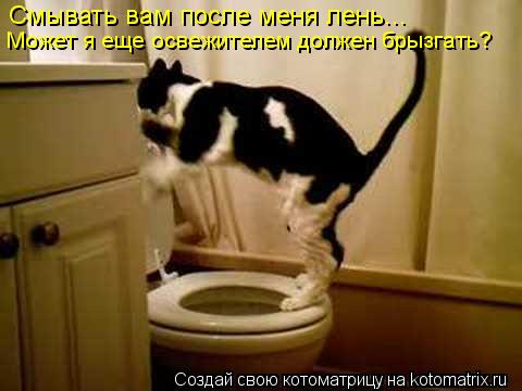 Котоматрица: Смывать вам после меня лень... Может я еще освежителем должен брызгать?