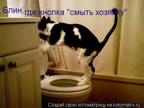 Котоматрица: Блин, где кнопка "смыть хозяйку"