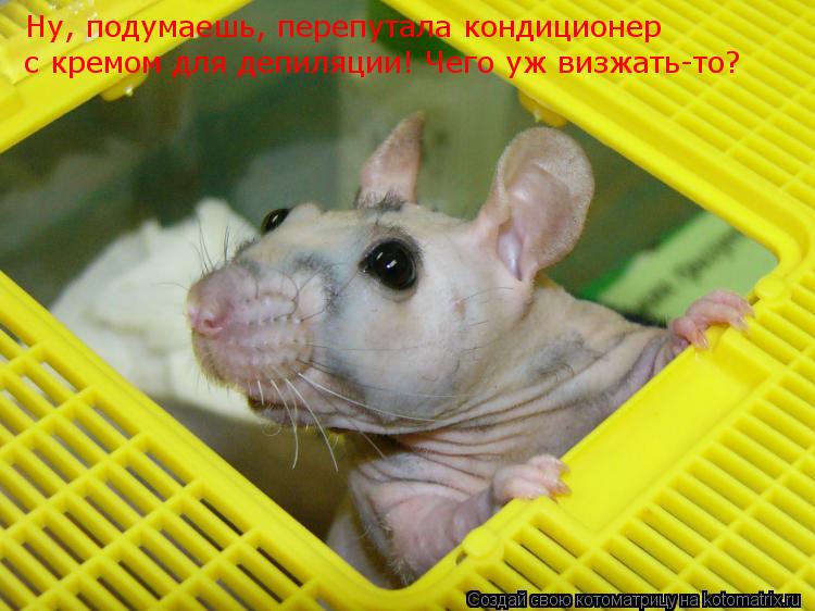 Котоматрица: Ну, подумаешь, перепутала кондиционер  с кремом для депиляции! Чего уж визжать-то?