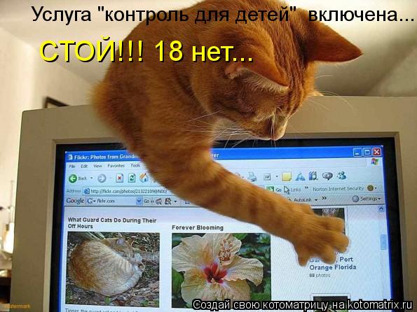 Котоматрица: Услуга "контроль для детей"  включена... СТОЙ!!! 18 нет...