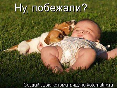 Котоматрица: Ну, побежали?