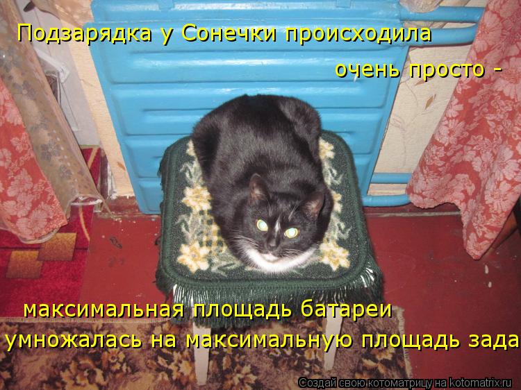 Котоматрица: Подзарядка у Сонечки происходила очень просто -  максимальная площадь батареи умножалась на максимальную площадь зада