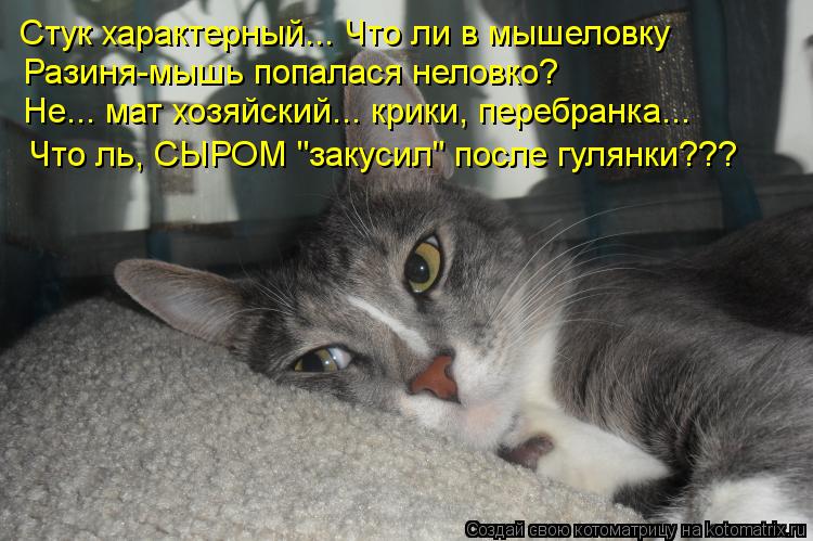 Котоматрица: Стук характерный... Что ли в мышеловку Разиня-мышь попалася неловко? Не... мат хозяйский... крики, перебранка... Что ль, СЫРОМ "закусил" после гул