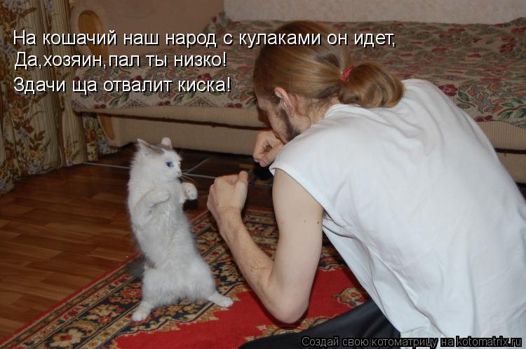 Котоматрица: На кошачий наш народ с кулаками он идет, Да,хозяин,пал ты низко! Здачи ща отвалит киска!