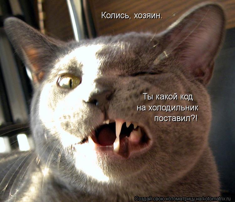Котоматрица: Ты какой код на холодильник  поставил?! Колись, хозяин.