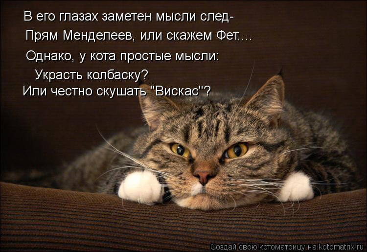 Котоматрица: В его глазах заметен мысли след- Прям Менделеев, или скажем Фет.... Однако, у кота простые мысли: Украсть колбаску? Или честно скушать "Вискас"?