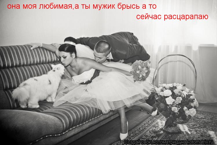 Котоматрица: она моя любимая,а ты мужик брысь а то сейчас расцарапаю