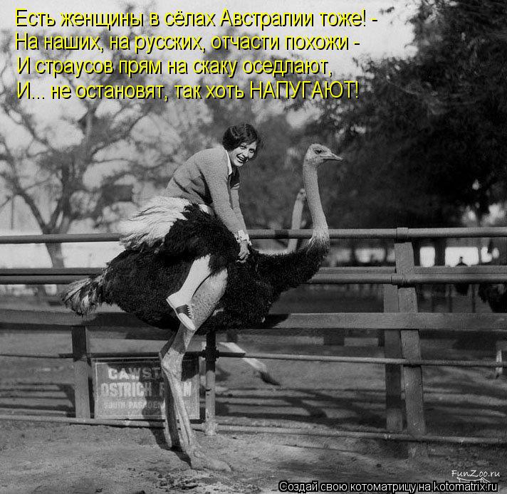 Есть женщины в сёлах Австралии тоже! - На наших, на русских, отчасти похожи - И страусов прям на скак... Котоматрица: Есть женщины в сёлах Австралии тоже! - На наших, на русских, отчасти похожи - И страусов прям на скаку оседлают, И... не остановят, так хоть НАП