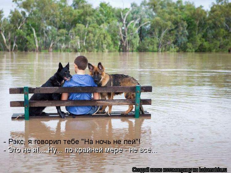 - Рэкс, я говорил тебе "На ночь не пей"! - Это не я!... Ну... по крайней мере - не всё...... Котоматрица: - Рэкс, я говорил тебе "На ночь не пей"! - Это не я!... Ну... по крайней мере - не всё...