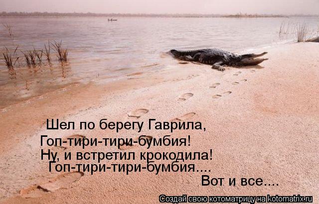 Шел по берегу Гаврила, Гоп-тири-тири-бумбия! Ну, и встретил крокодила! Гоп-тири-тири-бумбия.... Вот и... Котоматрица: Шел по берегу Гаврила, Гоп-тири-тири-бумбия! Ну, и встретил крокодила! Гоп-тири-тири-бумбия.... Вот и все....