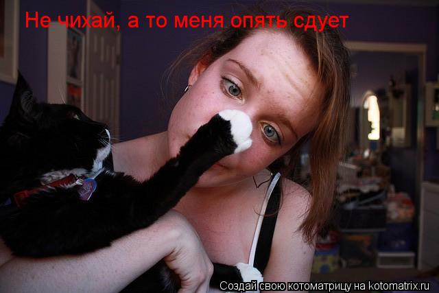 Не чихай, а то меня опять сдует... Котоматрица: Не чихай, а то меня опять сдует