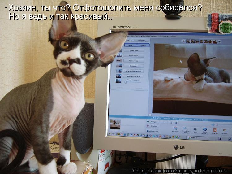 Хозяин, ты что? Отфотошопить меня собирался? Но я ведь и так красивый.. -... Котоматрица: Хозяин, ты что? Отфотошопить меня собирался? Но я ведь и так красивый.. -