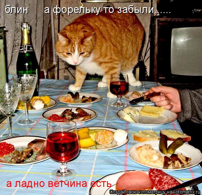 блин а форельку то забыли...... а ладно ветчина есть... Котоматрица: блин а форельку то забыли...... а ладно ветчина есть