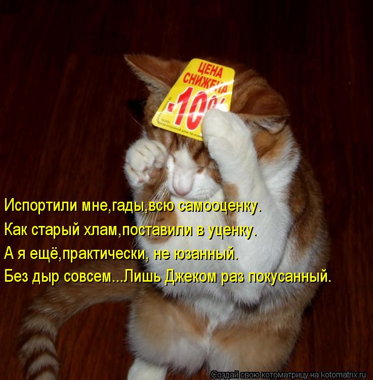 Испортили мне,гады,всю самооценку. Как старый хлам,поставили в уценку. А я ещё,практически, не юзанны... Котоматрица: Испортили мне,гады,всю самооценку. Как старый хлам,поставили в уценку. А я ещё,практически, не юзанный. Без дыр совсем...Лишь Джеком раз покус