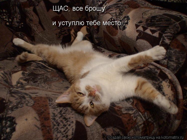 ЩАС, все брошу и уступлю тебе место...... Котоматрица: ЩАС, все брошу и уступлю тебе место...