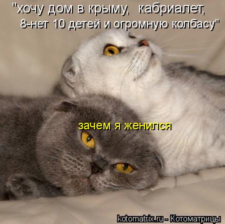 "хочу дом в крыму, кабриалет, 8-нет 10 детей и огромную колбасу" зачем я женился... Котоматрица: "хочу дом в крыму, кабриалет, 8-нет 10 детей и огромную колбасу" зачем я женился