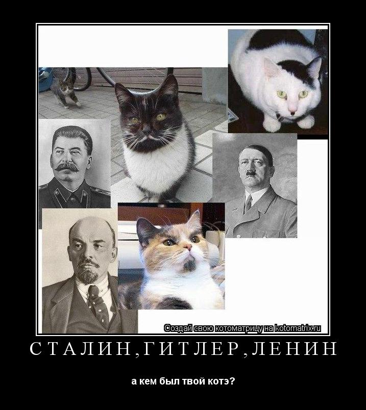 Котоматрица: Сталин,Гитлер,Ленин а кем был твой котэ?