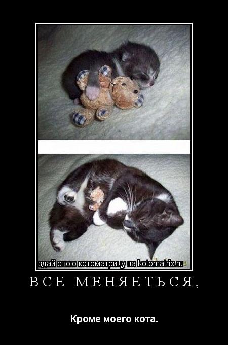 Котоматрица: Все меняеться, Кроме моего кота.
