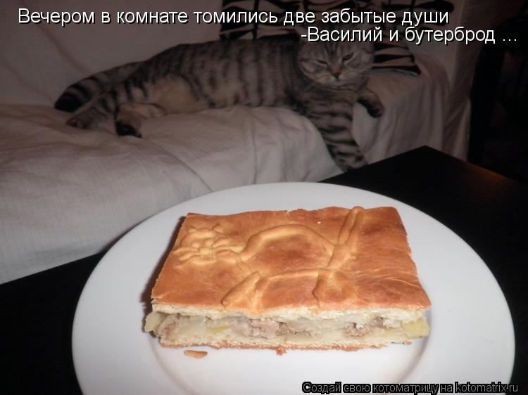 Котоматрица: Вечером в комнате томились две забытые души -Василий и бутерброд ...