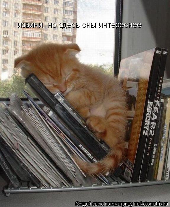 извини, но здесь сны интереснее... Котоматрица: извини, но здесь сны интереснее