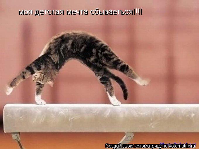Котоматрица: моя детская мечта сбываеться!!!!
