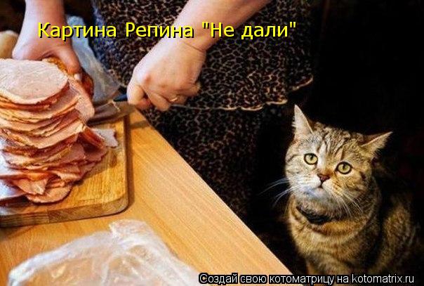 Котоматрица: Картина Репина "Не дали"