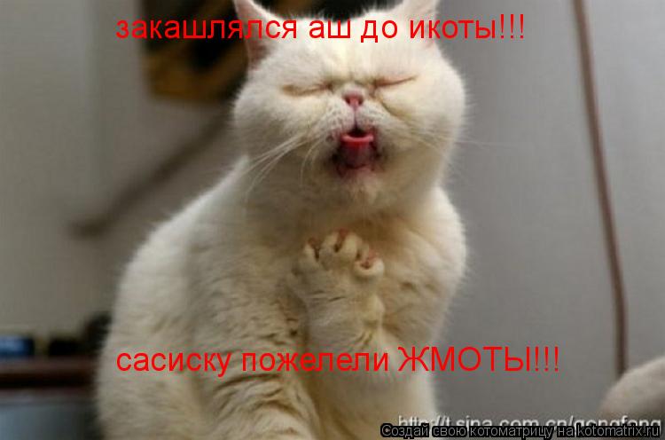 закашлялся аш до икоты!!! сасиску пожелели ЖМОТЫ!!!... Котоматрица: закашлялся аш до икоты!!! сасиску пожелели ЖМОТЫ!!!