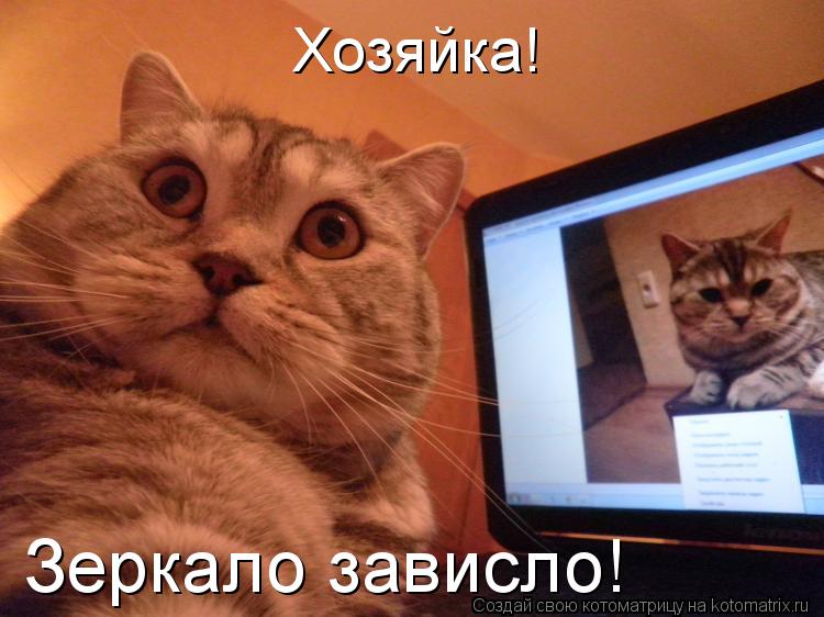Хозяйка! Зеркало зависло!... Котоматрица: Хозяйка! Зеркало зависло!