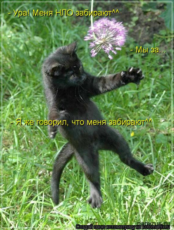 - Ура! Меня НЛО забирают^^ - Мы за... - Я же говорил, что меня забирают^^... Котоматрица: - Ура! Меня НЛО забирают^^ - Мы за... - Я же говорил, что меня забирают^^