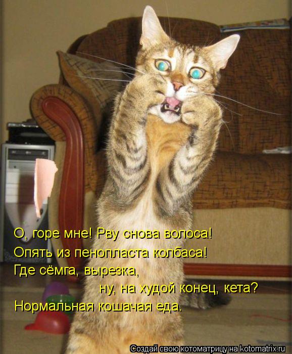 Котоматрица: О, горе мне! Рву снова волоса! Опять из пенопласта колбаса! Где сёмга, вырезка, ну, на худой конец, кета? Нормальная кошачая еда.
