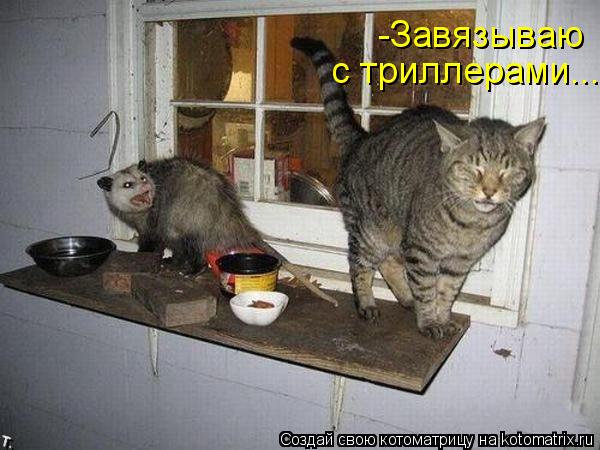 Котоматрица: -Завязываю  с триллерами...