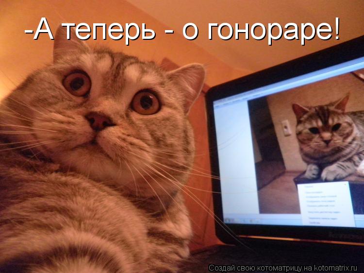 Котоматрица: -А теперь - о гонораре!