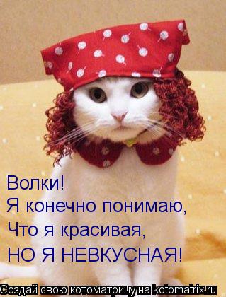 Котоматрица: Волки! Я конечно понимаю, Что я красивая, НО Я НЕВКУСНАЯ!
