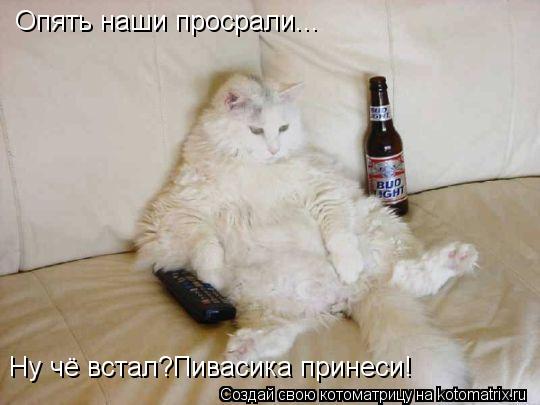 Котоматрица: Опять наши просрали... Ну чё встал?Пивасика принеси!