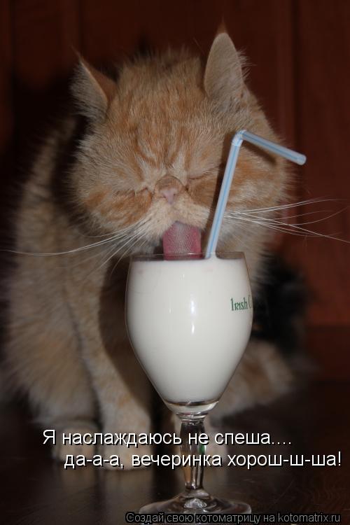 Котоматрица: Я наслаждаюсь не спеша.... да-а-а, вечеринка хорош-ш-ша!