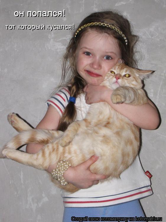 Котоматрица: он попался! тот который кусался!