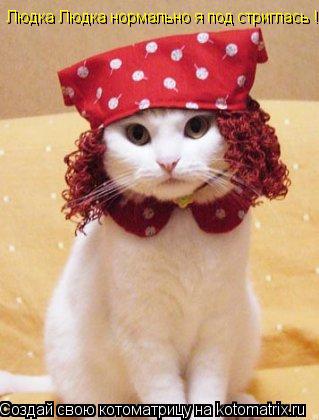 Котоматрица: Людка Людка нормально я под стриглась !!!