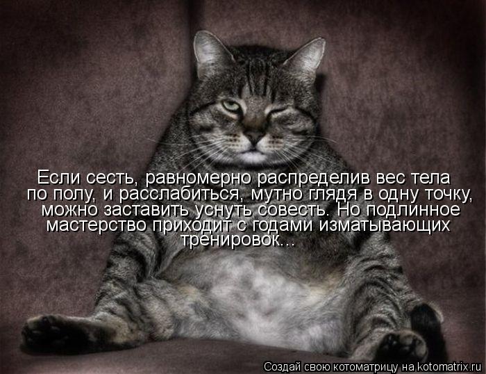 Котоматрица: Если сесть, равномерно распределив вес тела  по полу, и расслабиться, мутно глядя в одну точку, можно заставить уснуть совесть. Но подлинное 