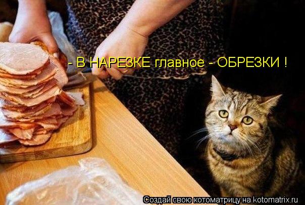 Котоматрица: - В НАРЕЗКЕ главное - ОБРЕЗКИ !