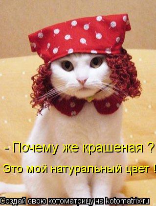 Котоматрица: - Почему же крашеная ? Это мой натуральный цвет !