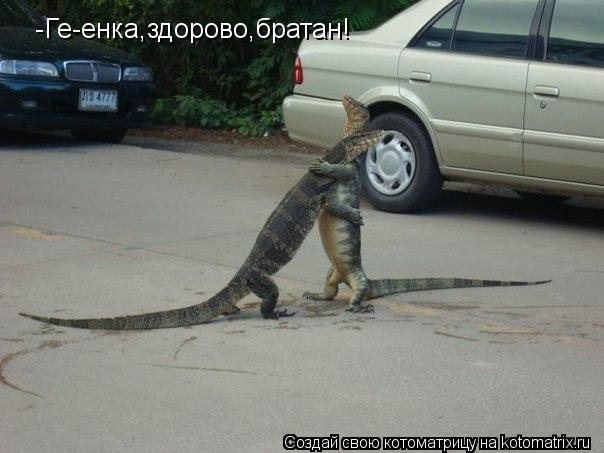 Котоматрица: -Ге-енка,здорово,братан!