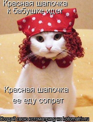 Красная шапочка к бабушке идет Красная шапочка ее еду сопрет... Котоматрица: Красная шапочка к бабушке идет Красная шапочка ее еду сопрет