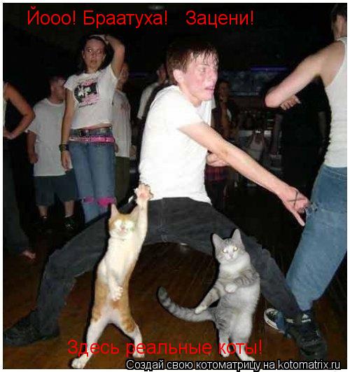 Йооо! Браатуха! Зацени! Здесь реальные коты!... Котоматрица: Йооо! Браатуха! Зацени! Здесь реальные коты!