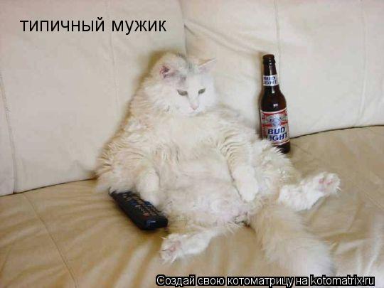 типичный мужик... Котоматрица: типичный мужик