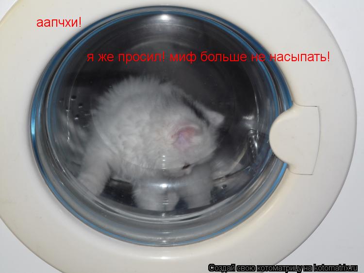Котоматрица: аапчхи! я же просил! миф больше не насыпать!