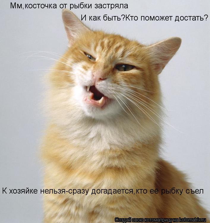 Котоматрица: Мм,косточка от рыбки застряла И как быть?Кто поможет достать? К хозяйке нельзя-сразу догадается,кто её рыбку съел