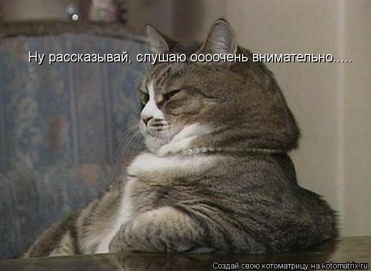 Котоматрица: Ну рассказывай, слушаю оооочень внимательно.....